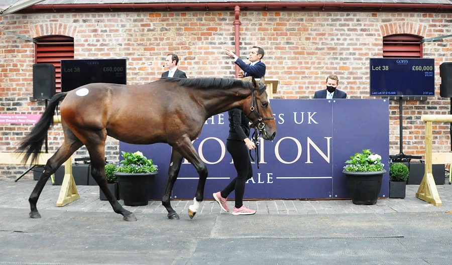 Solid results second time around for the Yorton Sale