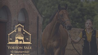 Stud a hive of activity as sales prep begins!