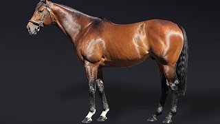 Cracksman joins Yorton roster