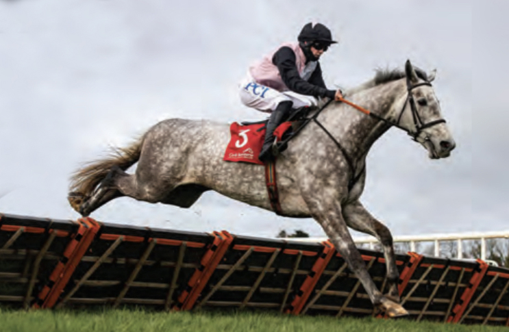 
     - Gentlemansgame by Gentlewave winning on his debut under rules in the Maiden Hurdle in Cork by 21L eased down.