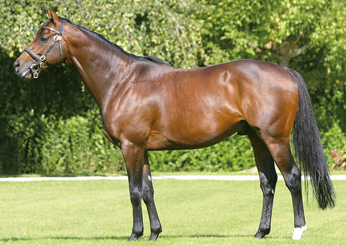 Ayr Bumper one-two for Gentlewave