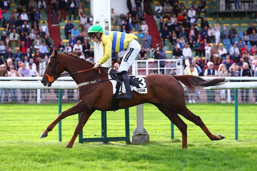 A weekend of winners for Yorton graduates