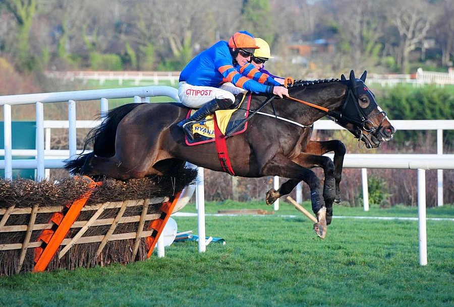 Mick Jazz (Blue Bresil) hits the right note in the Ryanair Hurdle Gr1