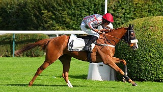 Masterstroke's legacy continues with smart 4yo's