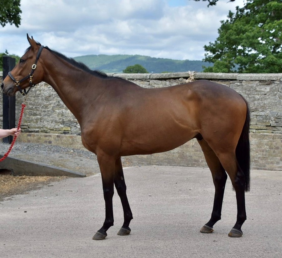 Pikar shows class at Chepstow