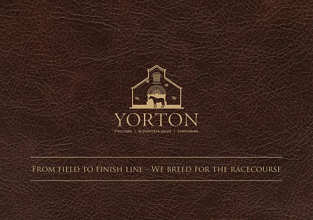 Yorton brochure cover mock up