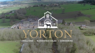 Discover Yorton Stud August 2021